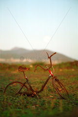 Ein altes Fahrrad in der Landschaft