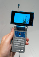 UMTS Mobiltelefon von Sharp mit dem auch TV-Empfang moeglich ist