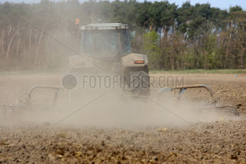 Brandenburg  ein Traktor beim Eggen auf dem Feld