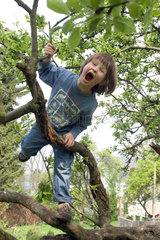 Ein Kind klettert in einem Baum