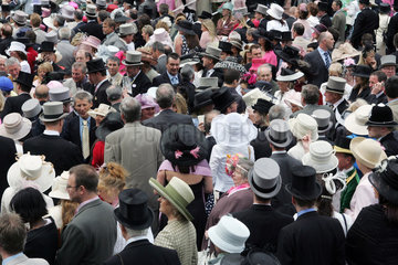 York  Zuschauermenge auf der Galopprennbahn