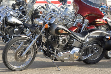 Dubai  eine Harley Davidson