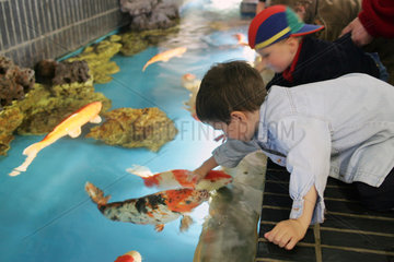 Berlin  Kinder streicheln Koi-Karpfen im Aquarium Berlin