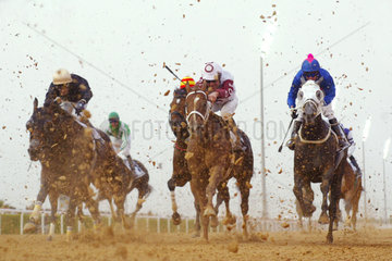 Dubai  Pferde und Reiter im Rennen auf der Sandbahn