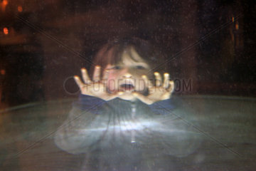 Ein Kind sieht durch eine Glasscheibe