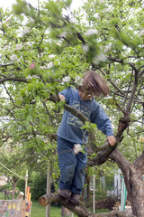 Ein Kind klettert in einem Baum