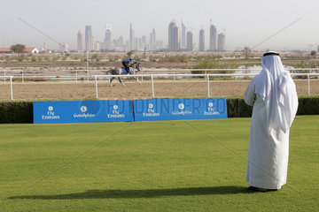 Dubai  Morgentraining in den Al Quoz Stables in Dubai. Ein Scheich beobachtet sein Pferd