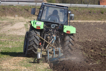 Brandenburg  ein Traktor beim Eggen auf einem Feld