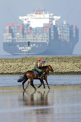 Hamburg  Reiter vor einem Containerschiff am Ufer der Elbe