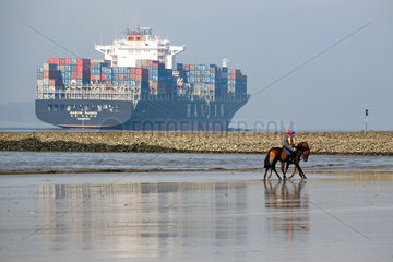 Hamburg  Reiter vor einem Containerschiff am Ufer der Elbe