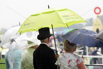 York  Zuschauer mit Regenschirmen auf der Galopprennbahn