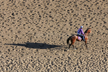 New York  Pferd und Reiter auf der Sandbahn von Belmont Park