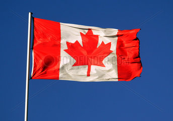 Symbolfoto  Nationalflagge von Kanada im Wind