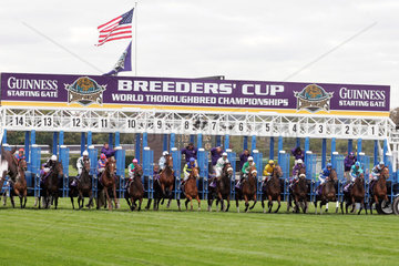 New York  Pferde und Reiter beim Start zum Breeders Cup