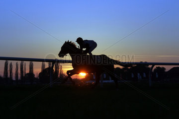 Jockey mit Pferd im Abendlicht
