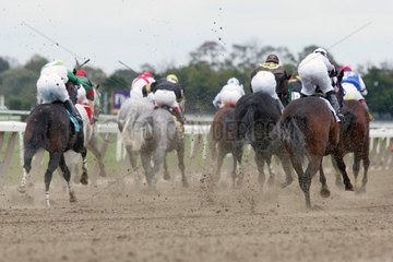New York  Pferde und Reiter im Rennen auf der Sandbahn