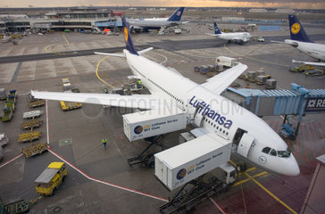 Frankfurt am Main  Maschinen der Lufthansa auf dem Flughafen