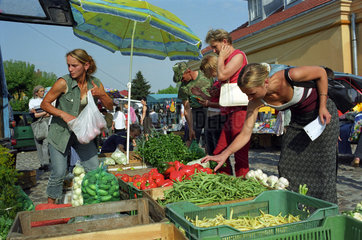 Gemuesenmarkt in der Ortschaft Zakliczyn  Polen