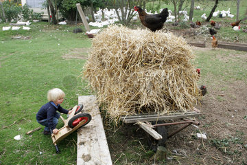 Prangendorf  Kind spielt mit seinem Roller im Huehnerhof