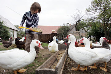 Prangendorf  Kinder fuettert Huehner und Enten auf dem Bauernhof