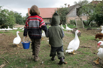Prangendorf  Kinder haben Huehnereier gesammelt