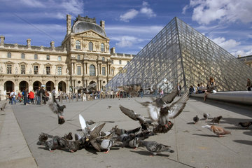 Paris  der Haupteingang des Louvre