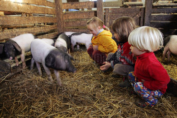 Prangendorf  Kinder im Schweinstall