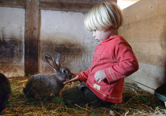 Prangendorf  Kleinkind fuettert ein Kaninchen
