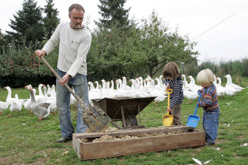 Prangendorf  Zwei Kinder helfen dem Bauern beim Fuettern der Gaense