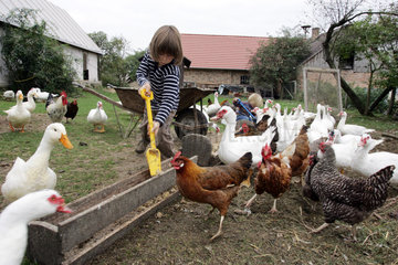 Prangendorf  Kinder fuettert Huehner und Enten auf dem Bauernhof
