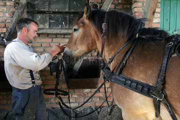 Prangendorf  ein Bauer spannt sein Pferd an