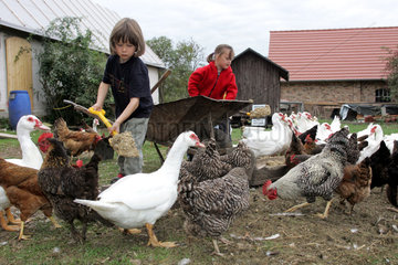Prangendorf  Kinder fuettern Huehner und Enten auf dem Bauernhof