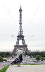 Paris  der Eiffelturm
