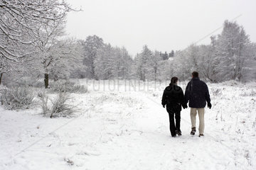 Neuenhagen  ein Paerchen geht im Winter im Wald spazieren