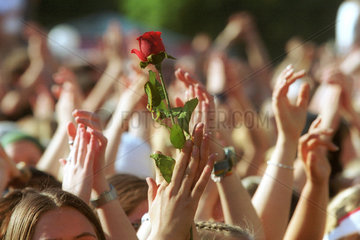 Maedchen haelt eine Rose in die Luft
