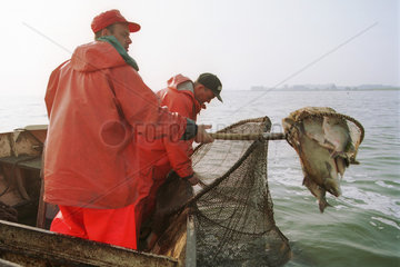 Kuestenfischer auf dem Oderhaff beim Leeren einer Reuse