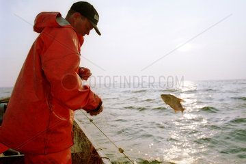 Kuestenfischer auf dem Oderhaff beim Einholen der Netze