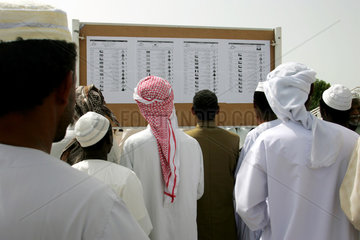 Dubai  arabische Maenner lesen die Starterlisten auf der Rennbahn Nad al Sheba