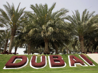 Dubai  Schriftzug Dubai unter Palmen