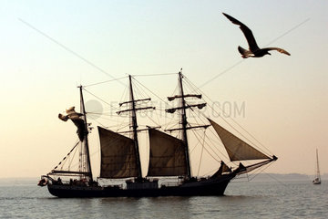 Wismar  Silhouette Segelschiff mit Moewe
