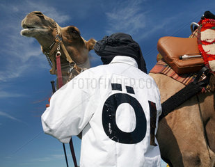 Hamburg  Kamel und Beduine vor blauem Himmel