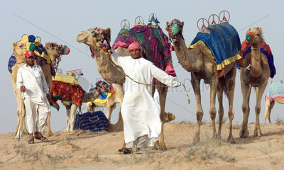 Dubai  arabische Maenner mit ihren Kamelen in der Wueste
