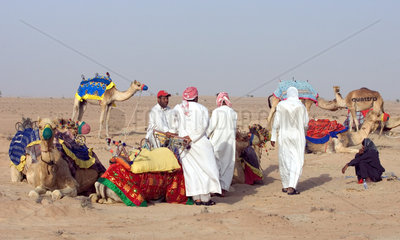 Dubai  Maenner mit ihren Kamelen in der Wueste