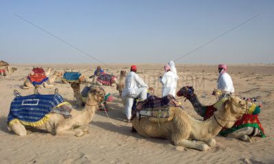 Dubai  arabische Maenner mit ihren Kamelen in der Wueste