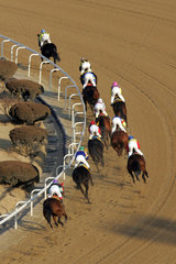 Seoul  Pferde und Reiter auf der Sandbahn in Aktion
