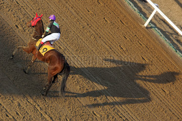 Seoul  Pferd und Reiter auf der Sandbahn werfen einen Schatten