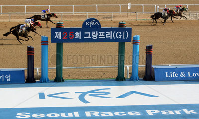 Seoul  Pferde und Reiter im Rennen