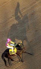 Seoul  Pferd und Reiter auf der Sandbahn werfen einen Schatten