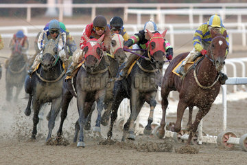 Seoul  Pferde und Reiter auf der Sandbahn in Aktion