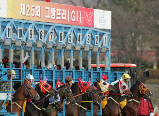 Seoul  Pferde und Reiter beim Start